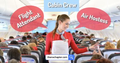 รู้หรือไม่? Cabin Crew, Flight Attendant, Air Hostess ต่างกันยังไง?