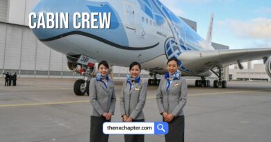 สายการบิน ANA หรือ All Nippon Airways เปิดรับสมัคร Cabin Crew ลูกเรือ วุฒิป.ตรี อายุ 20+ สูง 160 ซม. ขึ้นไป ขอ TOEIC 700 คะแนนขึ้นไป เด็กจบใหม่ก็สมัครได้ เริ่มสมัคร 7-20 พฤษภาคม