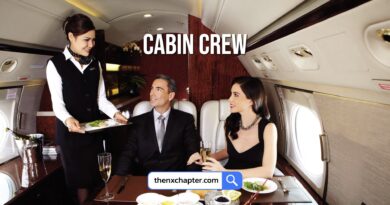 บริษัท MJets เปิดรับสมัคร Private Jet Cabin Crew วุฒิ ป.ตรี ไม่จำกัดอายุ ทำงานที่สนามบินดอนเมือง ปิดรับ 2 กันยายน
