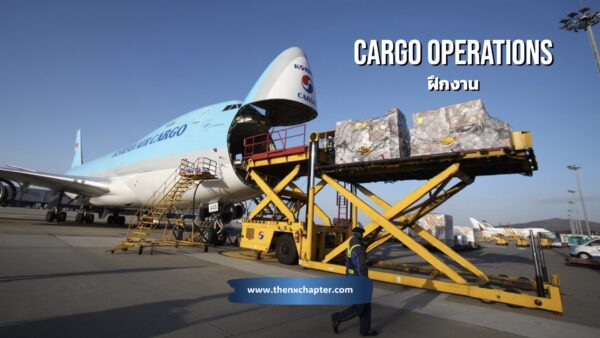 สายการบิน Korean Air เปิดรับสมัครนักศึกษาฝึกงาน แผนก Cargo Operations ที่เขตปลอดอากร Free Zone สนามบินสุวรรณภูมิ